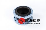 热水系统循环泵安装DN250橡胶绕性避震喉
