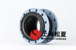 供暖空调循环泵安装DN200可绕曲连接器